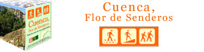Cuenca, Flor de Senderos.