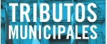 Guía informativa sobre tributos municipales 2023